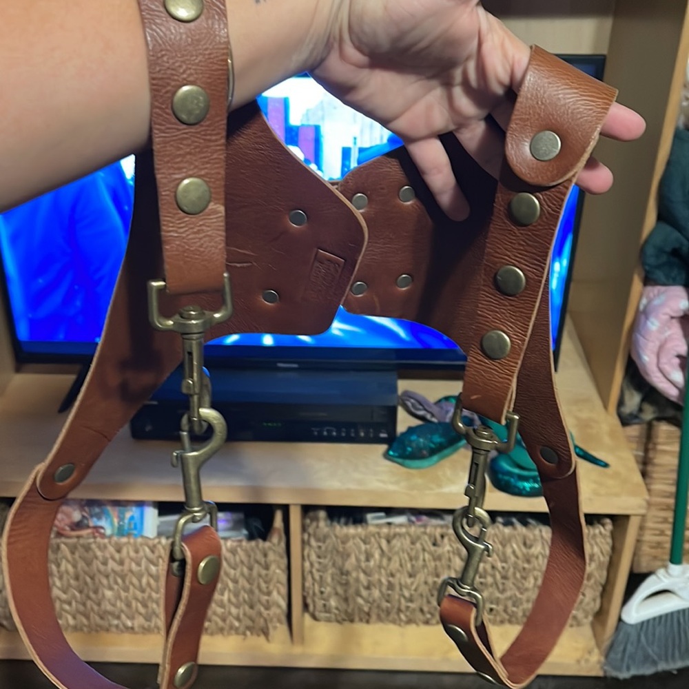Leather harness